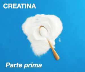 CREATINA, una molecola magica da custodire (parte prima)